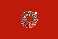 日照莒市回收红酒
